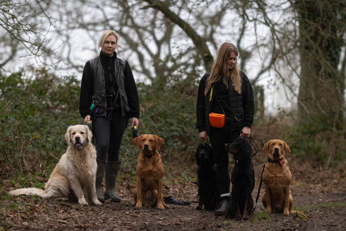 Dog walking