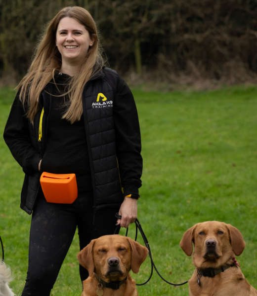 Chloe the dog walker